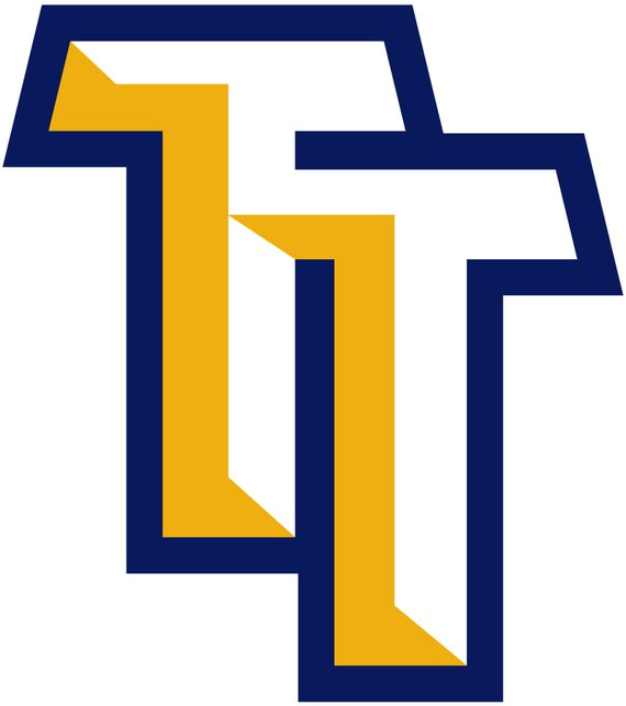 Torrington Titans 2011-Pres Cap Logo iron on heat transfer